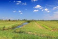 Polder landscape in Zaandijk, Netherlands