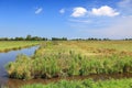 Polder landscape in Zaandijk, Netherlands