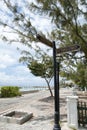 Grand Turk Island Cockburn Town Street Signs Royalty Free Stock Photo