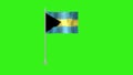 Pole Flag of Bahamas, Bahamas Pole flag waving in the wind on Green Background. Bahamas Flag, Flag of Bahamas Royalty Free Stock Photo