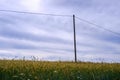 Pole in the green and yellow fields under the cloudy sky in Toten, Norway Royalty Free Stock Photo