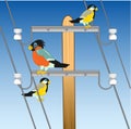 Pole with wire and bird sitting on him Royalty Free Stock Photo