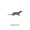 Polecat icon. Trendy Polecat logo concept on white background fr Royalty Free Stock Photo