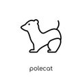Polecat icon. Trendy modern flat linear vector Polecat icon on w