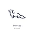 polecat outline icon. isolated line vector illustration from animals collection. editable thin stroke polecat icon on white Royalty Free Stock Photo