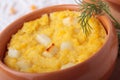 Polenta baked with sliced cheese Royalty Free Stock Photo