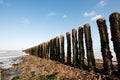 Poles at the beach Royalty Free Stock Photo