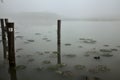 Poles of a mooring surrounded by lily pads on a lake in the mist in autumn Royalty Free Stock Photo