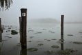 Poles of a mooring surrounded by lily pads on a lake in the mist in autumn Royalty Free Stock Photo