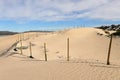 Poles with netting in dunes, used to stabilize the sand of the dunes at Witsand, South Africa