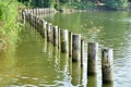Poles in water as line Royalty Free Stock Photo