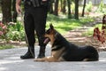 Police Dog 1