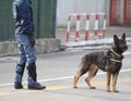 Police dog with policeman during a riot in the city Royalty Free Stock Photo