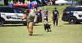 Police Dog Demonstration at National Kids to Park Day, Bartlett, TN Royalty Free Stock Photo