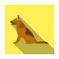 Police dog for detaining criminals. Trained shepherd for prison.Prison single icon in flat style vector symbol stock