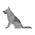 Police dog for detaining criminals. Trained shepherd for prison.Prison single icon in monochrome style vector symbol