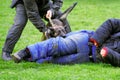 Police dog training Royalty Free Stock Photo