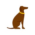 Police dog training icon flat isolated vector Royalty Free Stock Photo