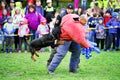 Police dog training Royalty Free Stock Photo