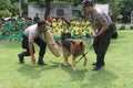 Police dogs