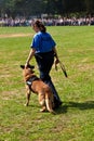 Police dogs show their discipline