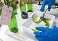Police expert gets blood sample from a broken glass bottle in Criminalistic Lab