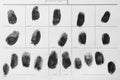 Police form with fingerprints, top view Royalty Free Stock Photo