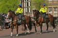 Police on horse