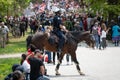 Police Horse Walking Through Crowd, Toronto, ON