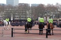 Band marching at Changing of the Guard ceremony at Buckingham Palace