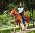 Police On Horseback In Loule Portugal