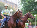 Mounted police officers in park of city