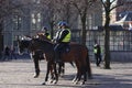 Police on horses in Amsterdam, Holland