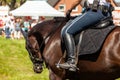 Police horsewoman rides on a police horse Royalty Free Stock Photo