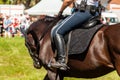 Police horsewoman rides on a police horse Royalty Free Stock Photo