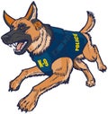 Police K9 German Shepherd Dog with Bulletproof Vest Illustration Royalty Free Stock Photo