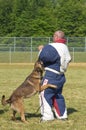 K9 police dog attack