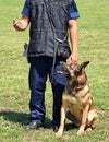 Police man with his dog Royalty Free Stock Photo