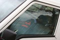 Police Man Looking Through Vehicle Window