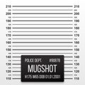 Police mug shot vector lineup background Royalty Free Stock Photo