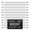 Police mug shot vector lineup background