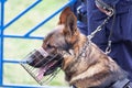 Policeman with a police dog