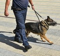 Police officer and his german shepherd dog Royalty Free Stock Photo