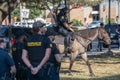 Houston Police Officer on Horseback