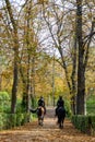 Police officer mounted on a horse passing through a road full of dry leaves due to autumn in the Retiro Park in Madrid, Spain.