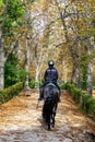 Police officer mounted on a horse passing through a road full of dry leaves due to autumn in the Retiro Park in Madrid, Spain.