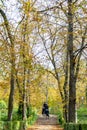 Police officer mounted on a horse passing through a road full of dry leaves due to autumn in the Retiro Park in Madrid, Spain.