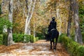 Police officer mounted on a horse passing through a road full of dry leaves due to autumn in the Retiro Park in Madrid, Spain.