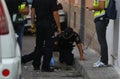 Anti drug raid in mallorca details