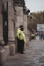 Police officers in a London march to support veterans